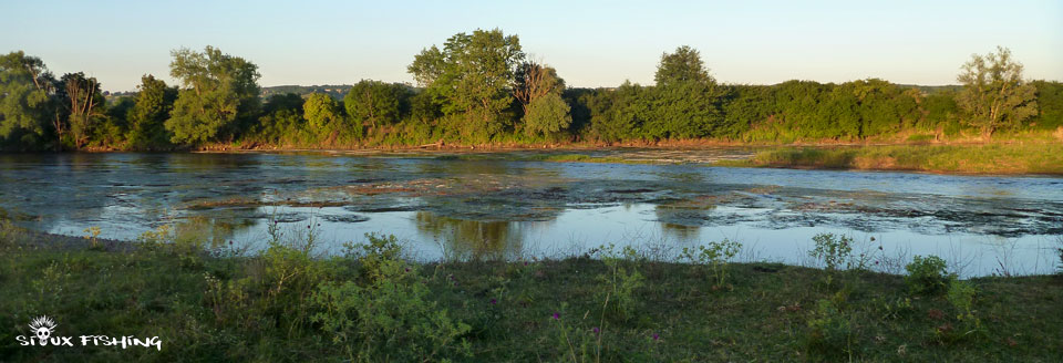 La Loire à Artaix. Dernier fleuve sauvage