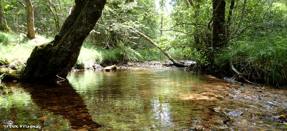  Canche, rivière du Morvan