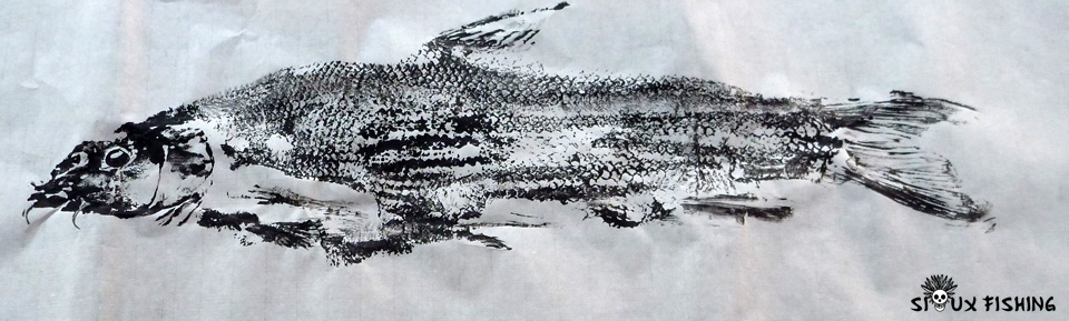 Gyotaku de barbeau fluviatile