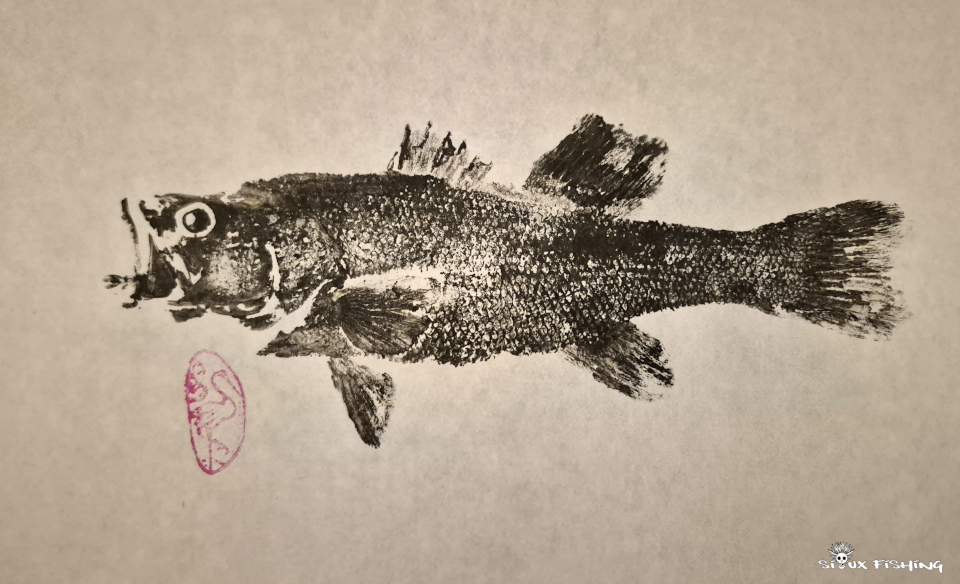 black bass collection 1