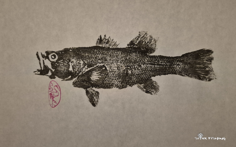 black bass collection 1 1