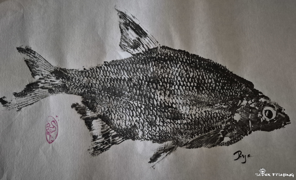 Gyotaku de brème commune