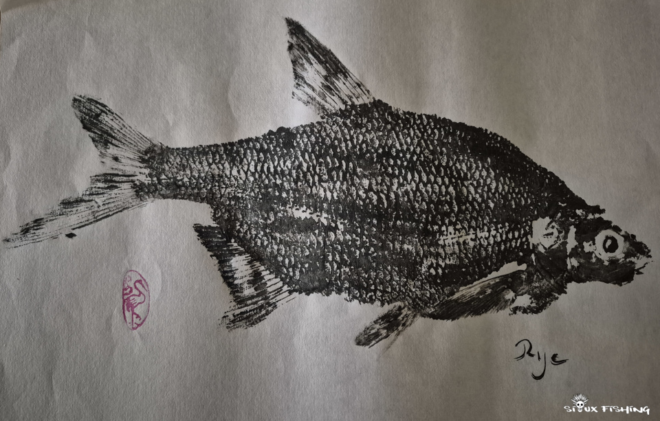 Gyotaku de brème commune