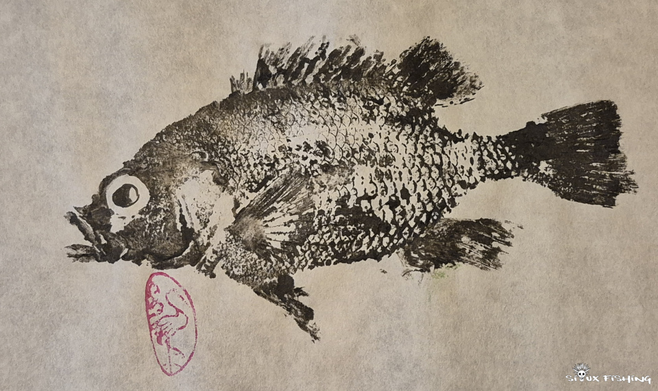 crapet de roche crapet de roche