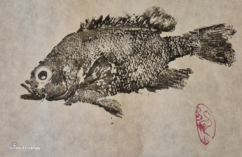 crapet de roche crapet de roche