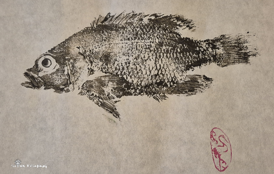 crapet de roche crapet de roche