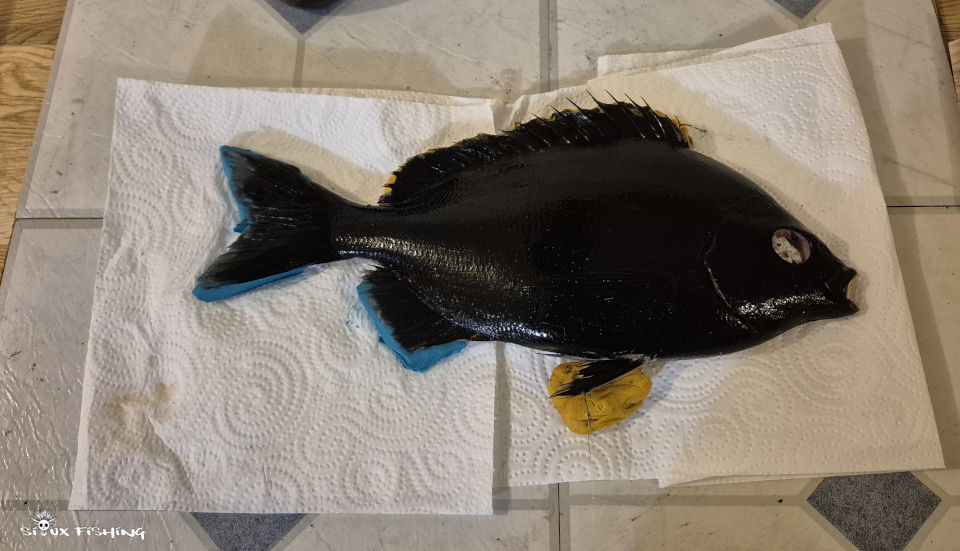 gyotaku de dorade grise