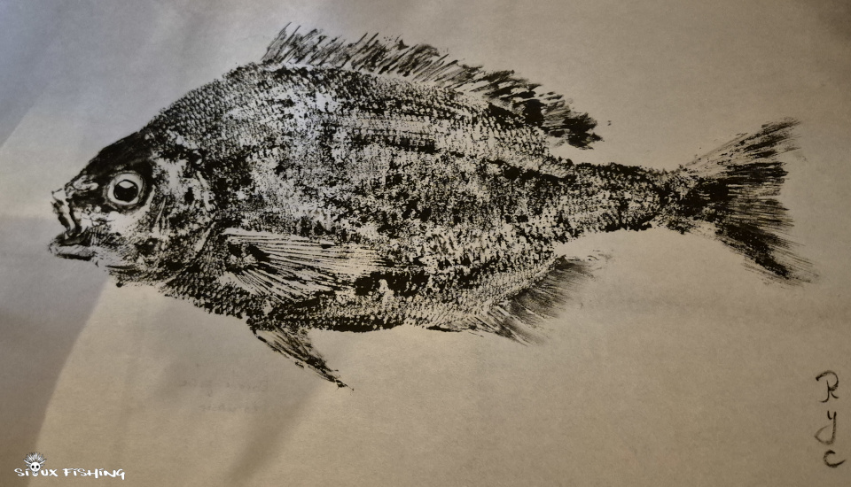 gyotaku du dorade grise