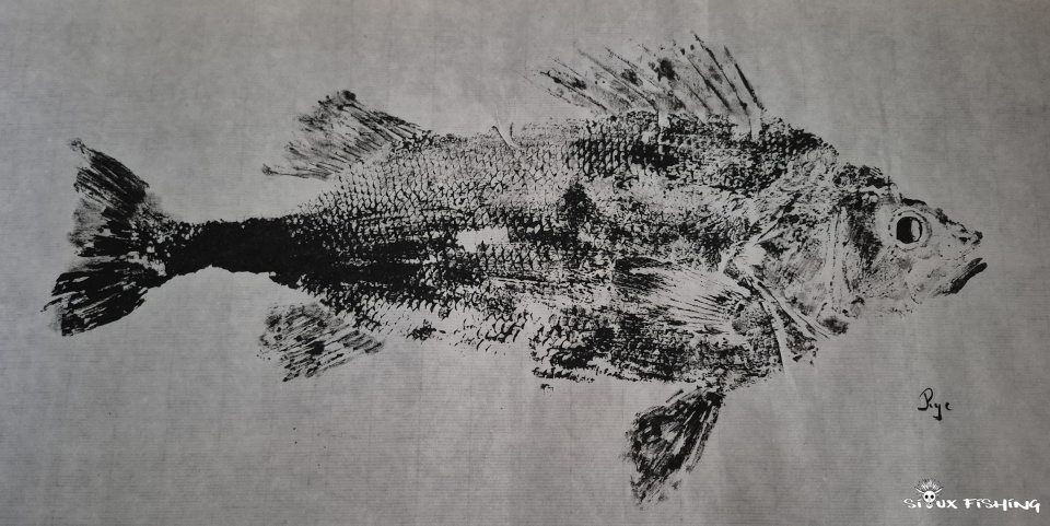 Gyotaku de perche Gyotaku de perche
