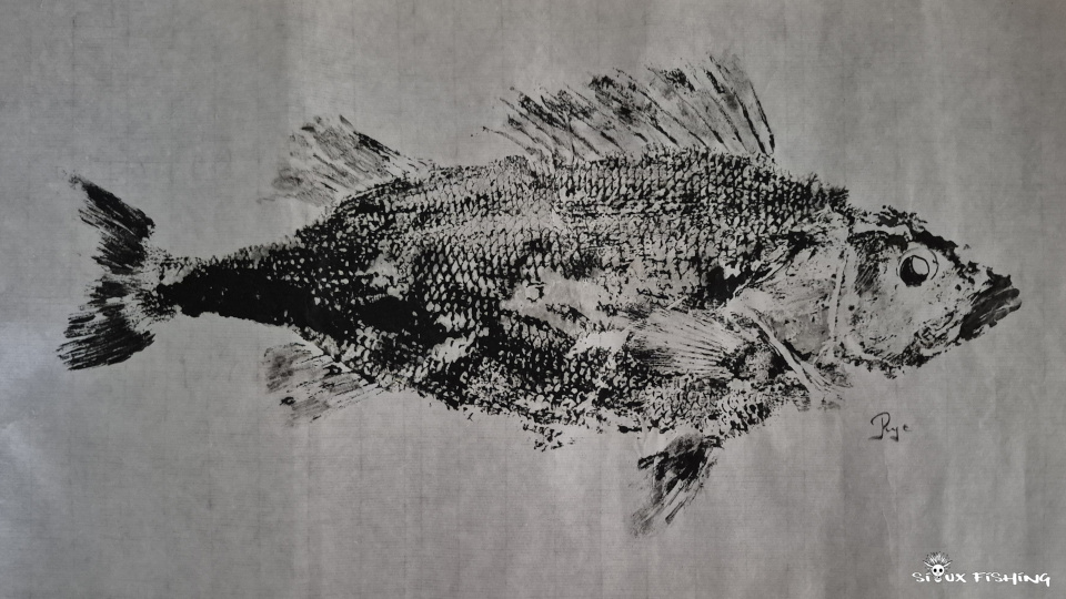 Gyotaku de perche commune Gyotaku de perche commune