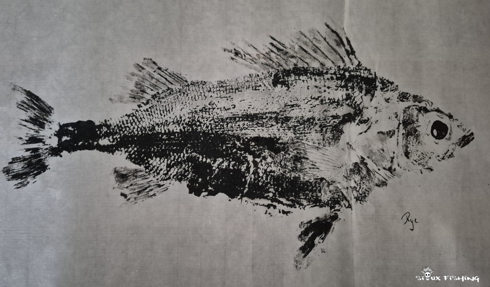 gyotaku de perche commune Gyotaku d perche commune