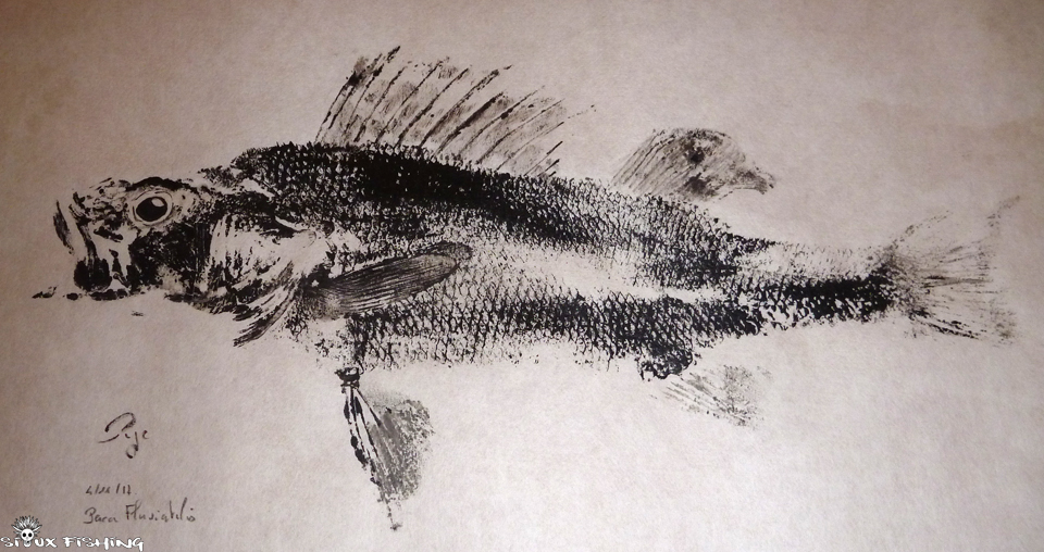 Gyotaku de perche commune
