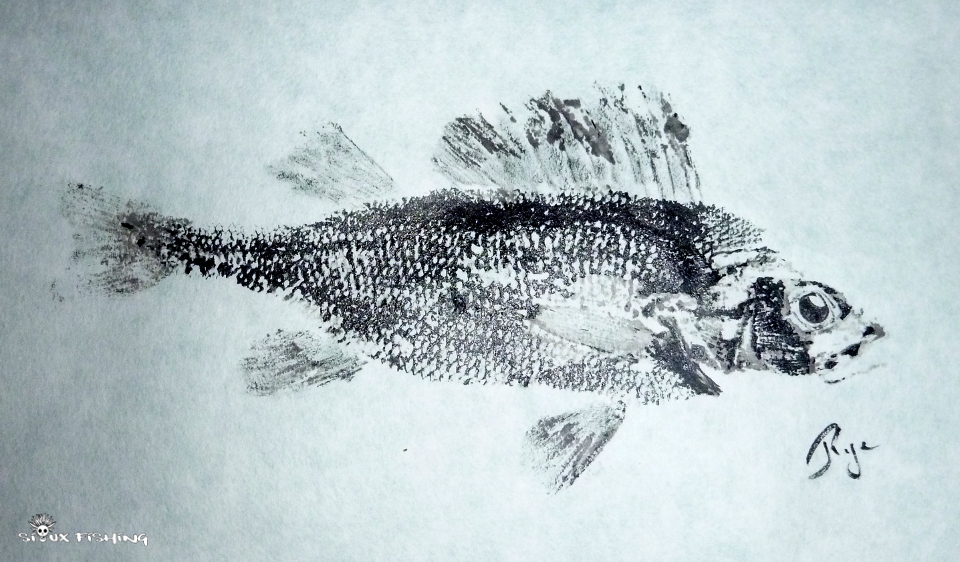 Gyotaku de perche