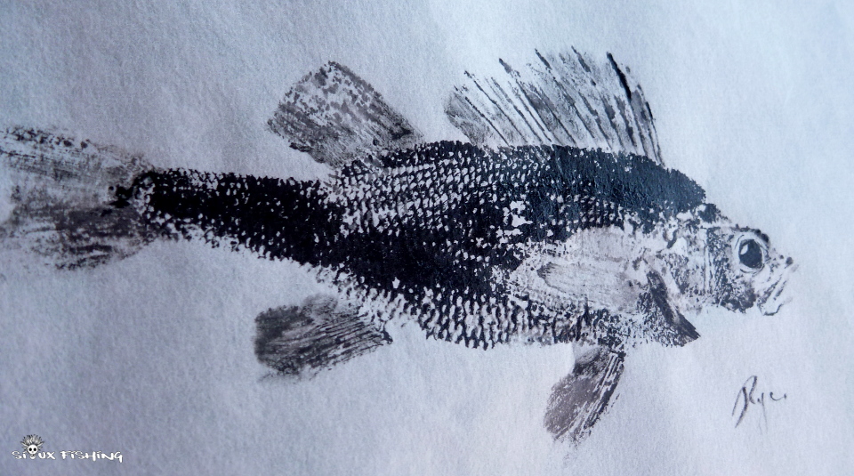 Gyotaku de perche