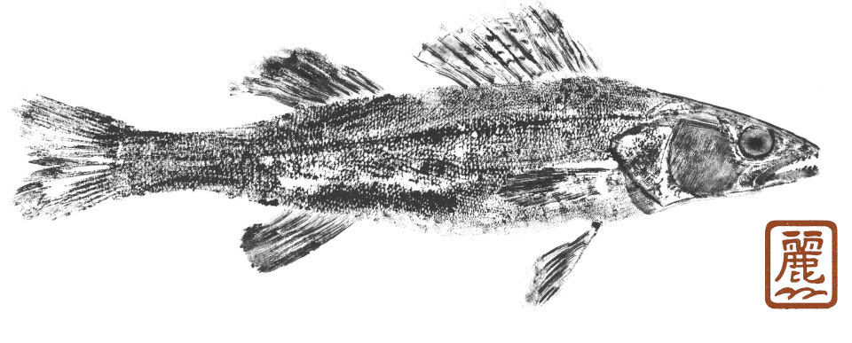 Gyotaku de sandre Gyotaku de sandre