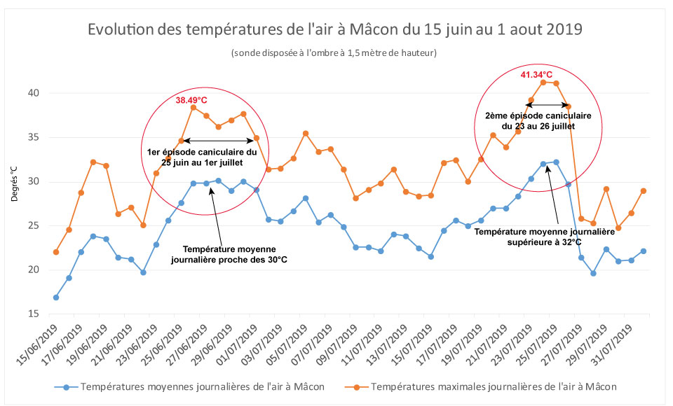 Evolution des températures de l'air à Mâcon pendant canicule 2019