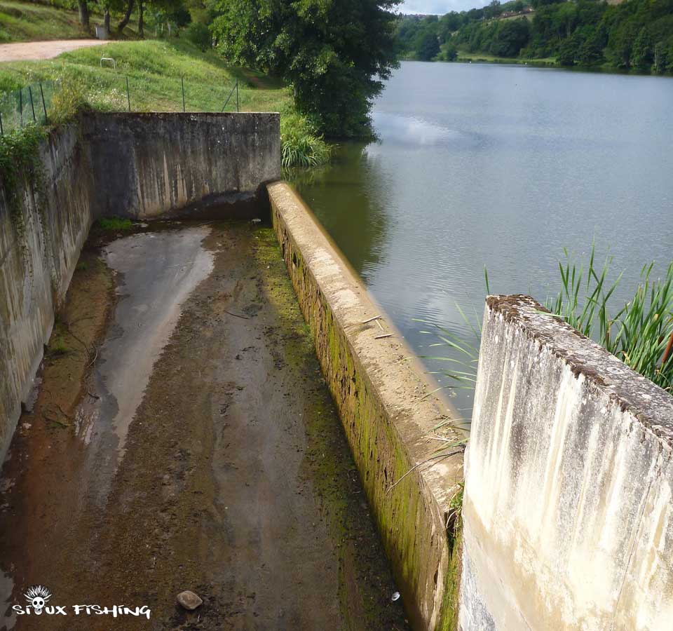 Un étang qui capte toute l'eau