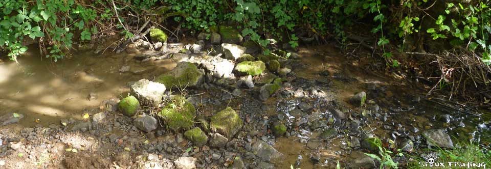 Étiage sévère sur un petit ruisseau