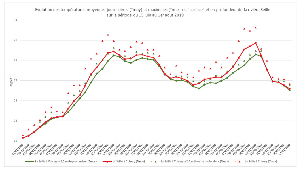 Evolution des températures de la Seille en profondeur et en surface pendant la canicule 2019