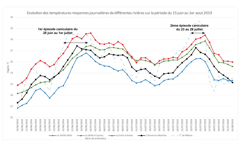 Evolution de la température moyenne de différentes rivières du département de Saône-et-Loire pendant la canicule 2019