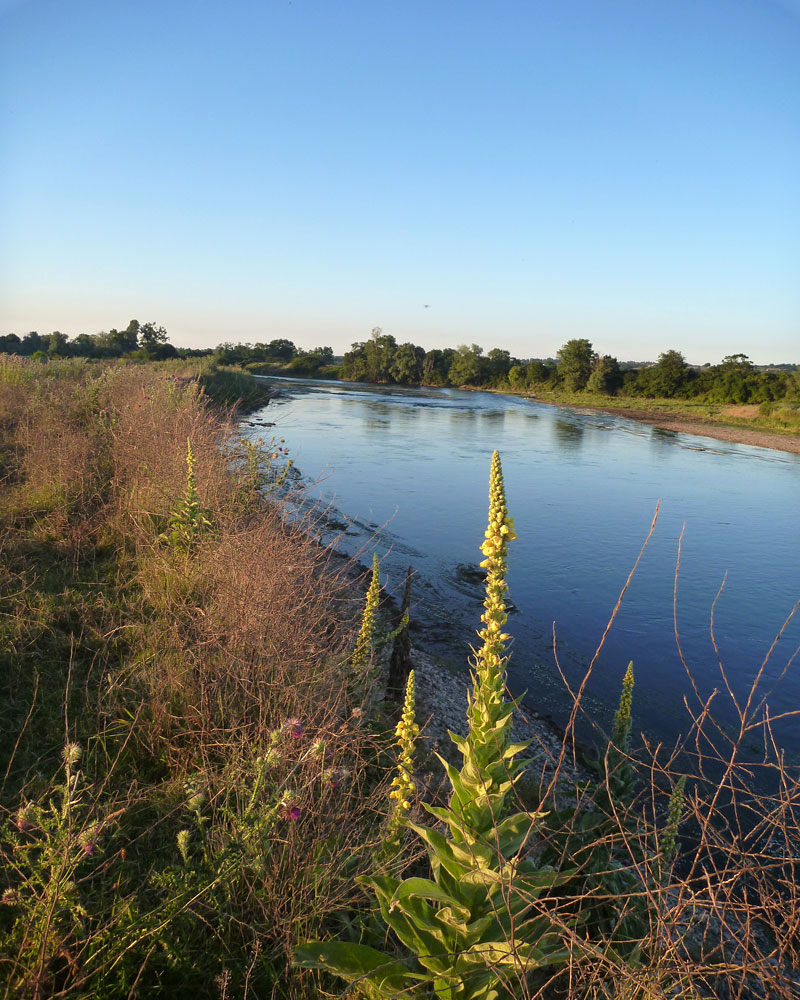 De retour sur la Loire.