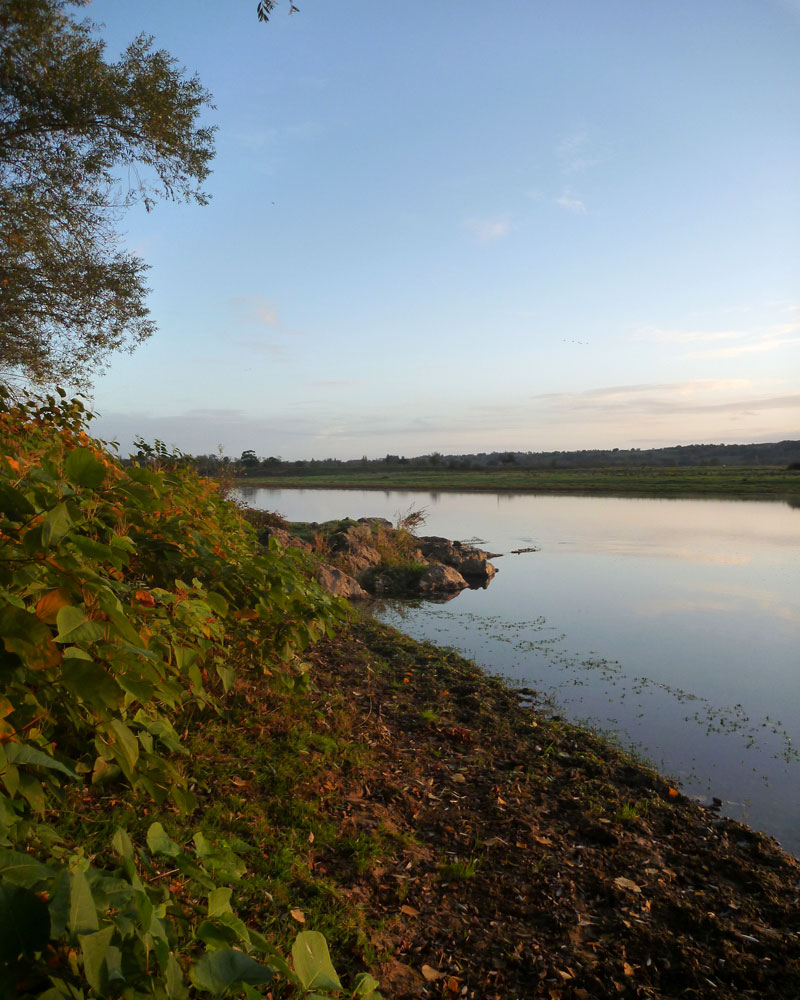 Entre Loire et Saône!