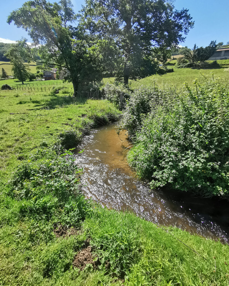 De l'eau dans les ruisseaux!