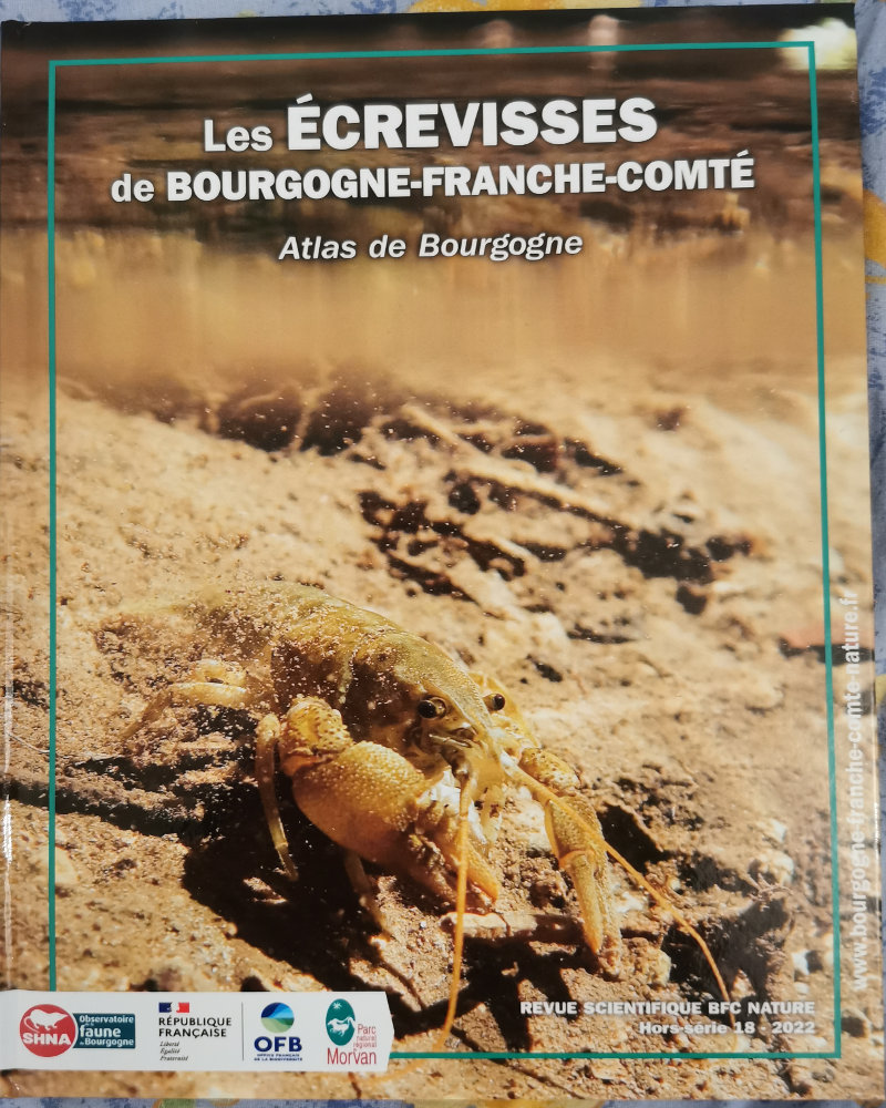 Les écrevisses en Bourgogne