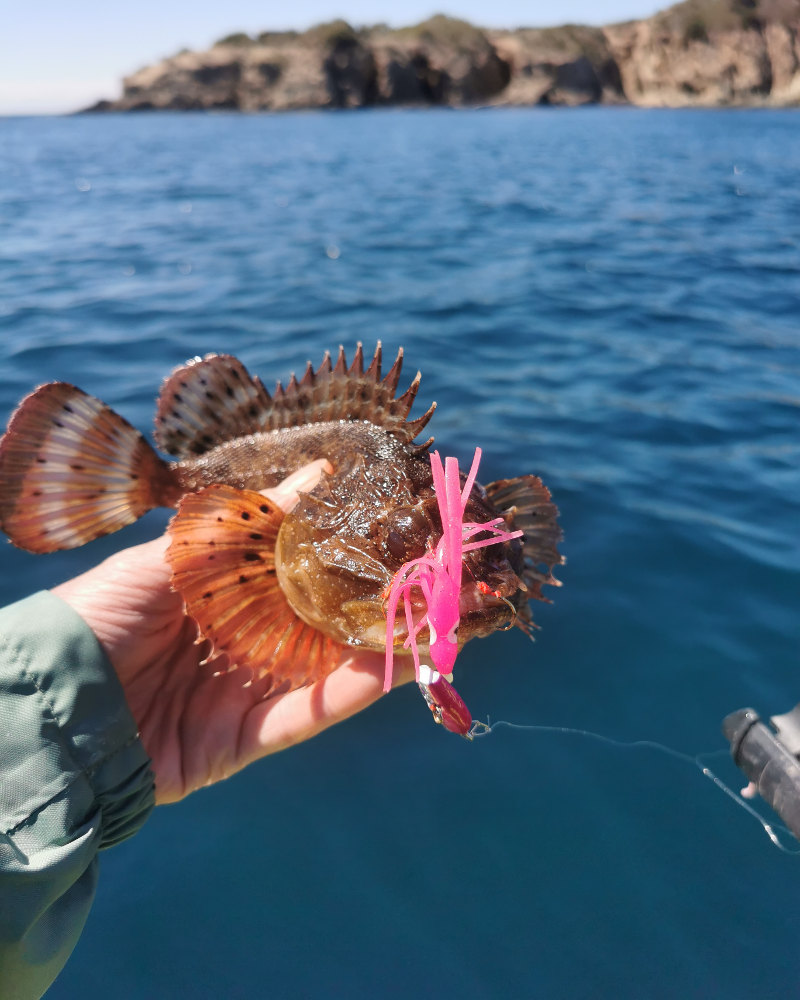 Du vent, encore du vent et un peu de mer