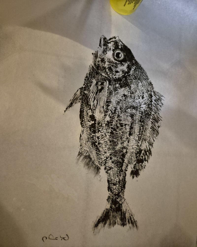 Gyotaku, l'empreinte d'un poisson.