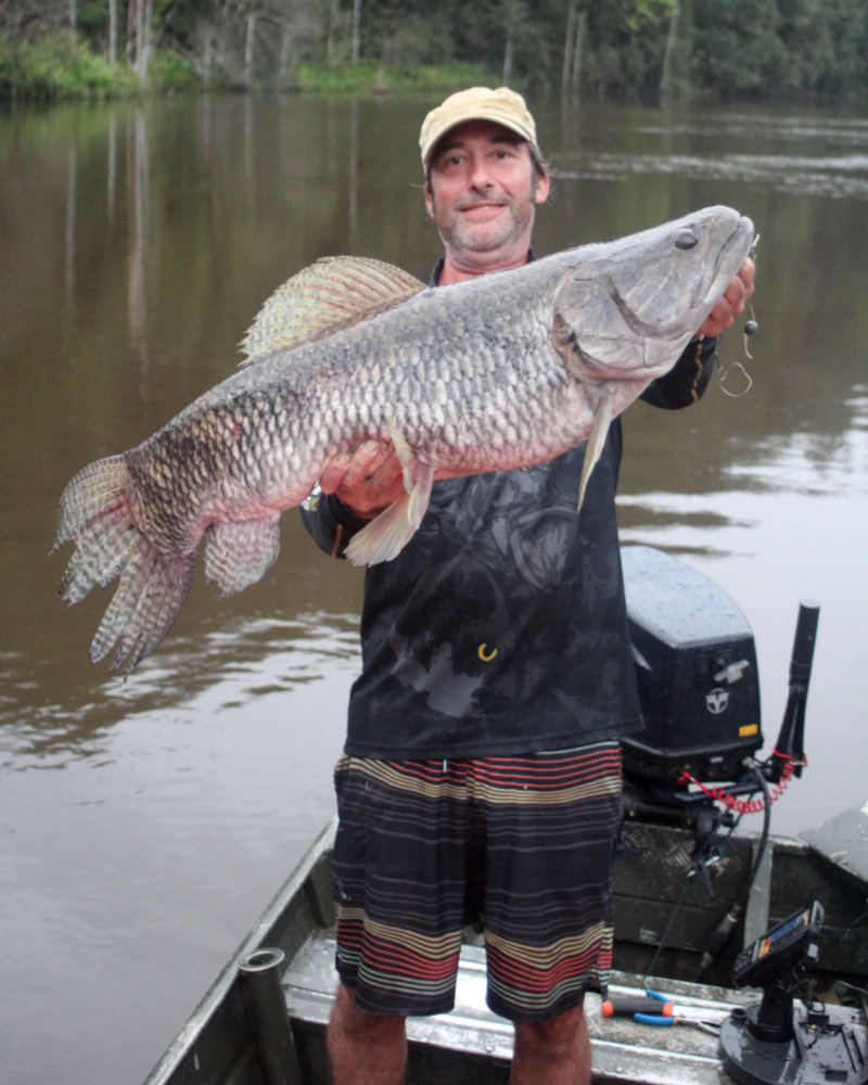 Pêche en Guyanne - à la recherche de L'aimara