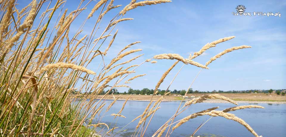 La Loire