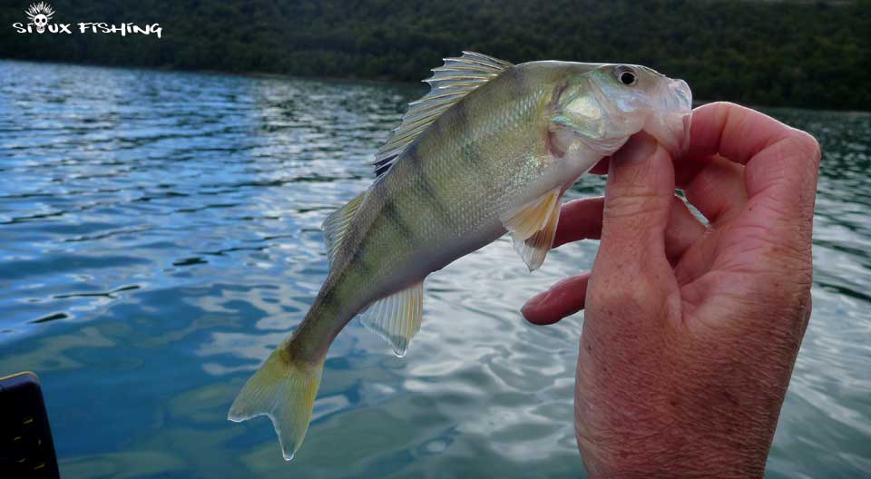 Perche Lac Chalain