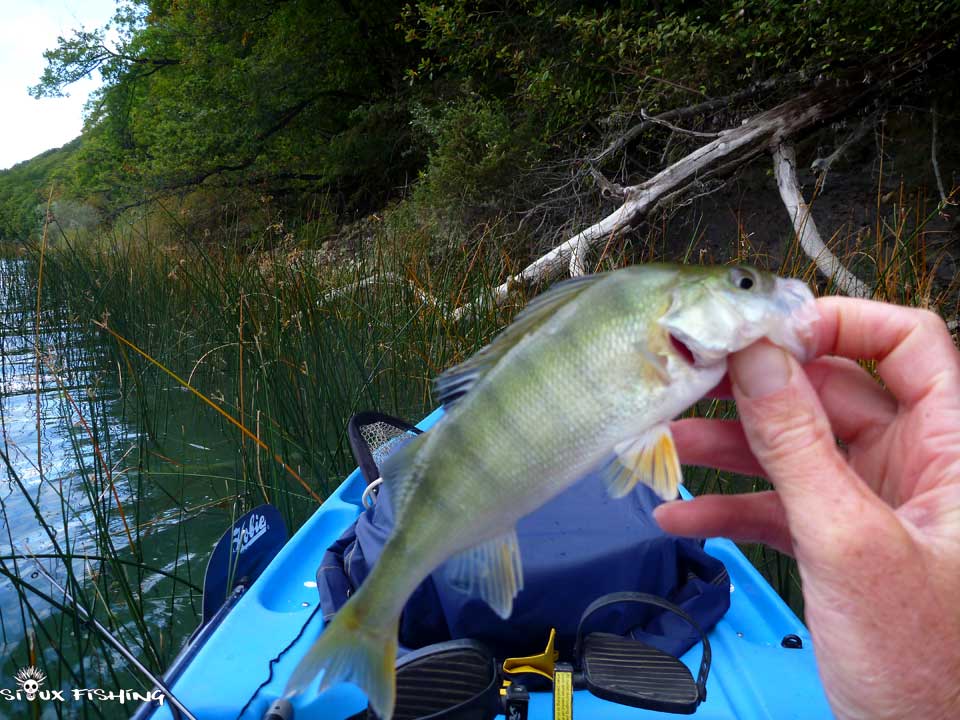 Perche Lac Chalain