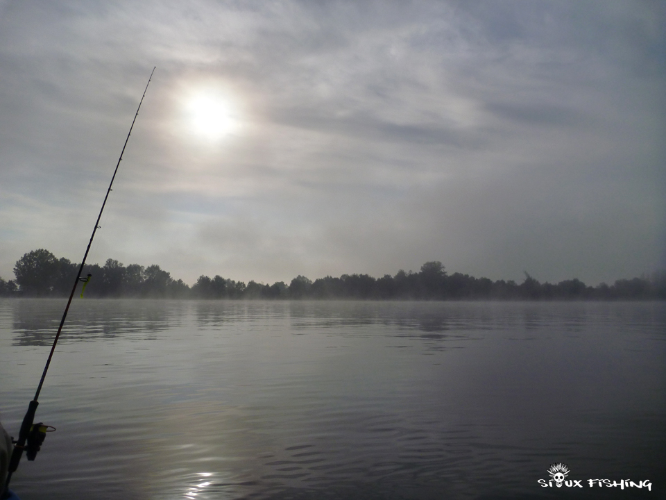 La Saône au matin