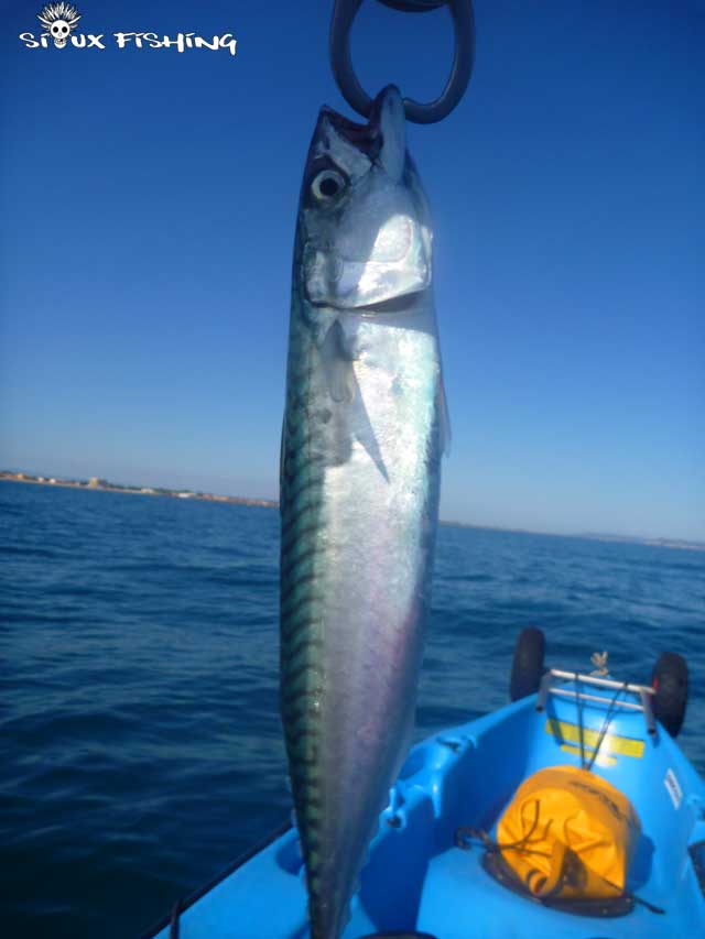 pêche en kayak en mer