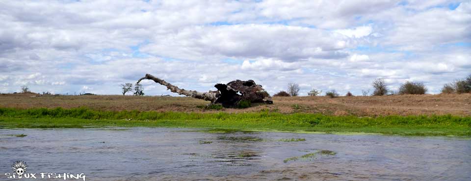 La Loire