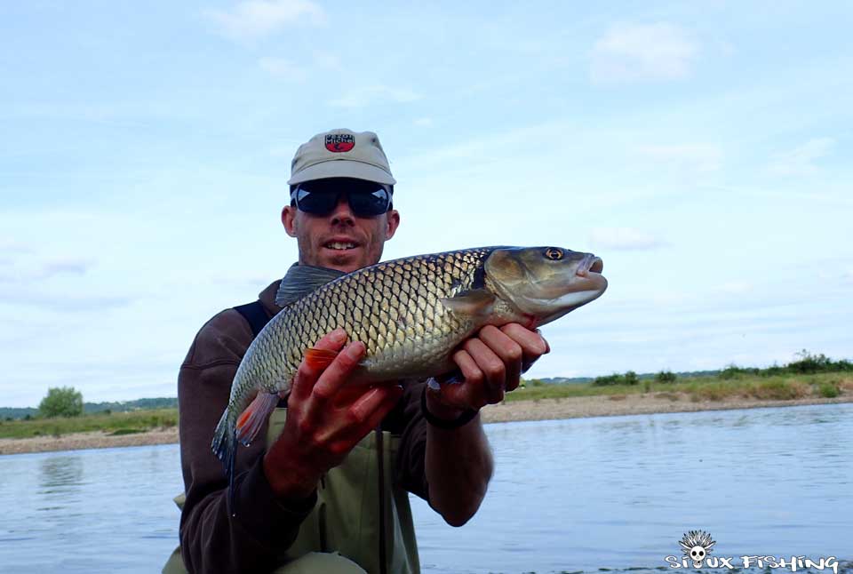 Chevesne de Loire