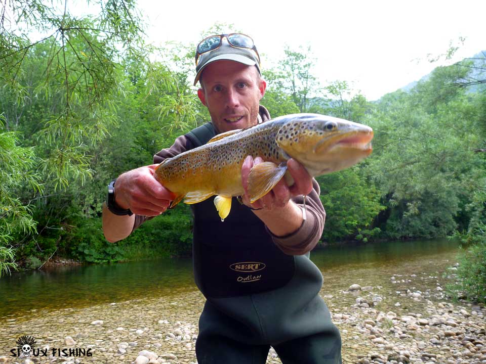 Truite de la Bienne