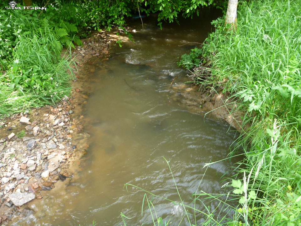 Le Mussy, un petit ruisseau