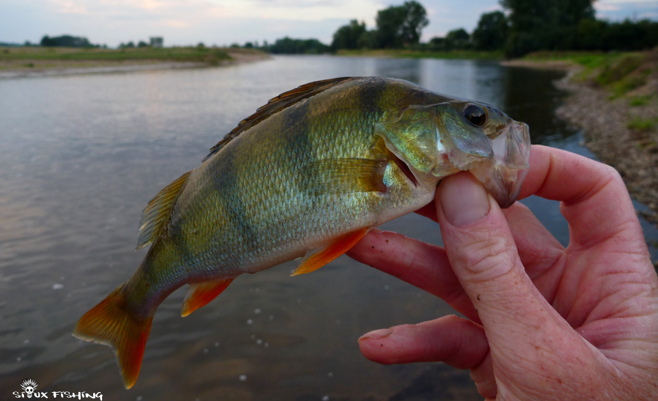 Perche de Loire