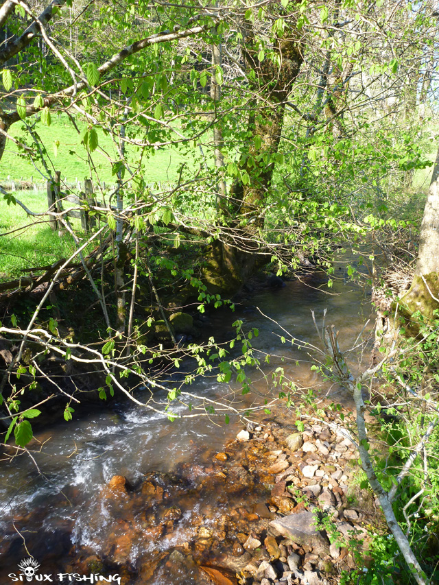 Le Mussy, une petite rivière à truite