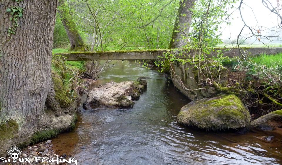 L'Aron, un ruisseau à truite