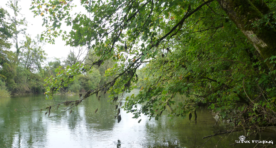Haute rivière d'Ain