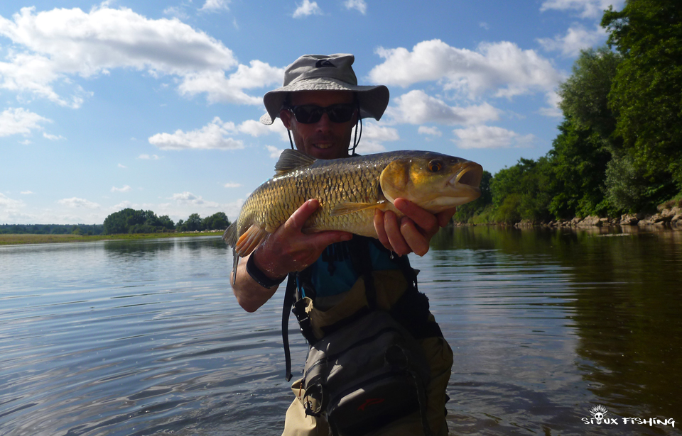 Gros chevesne de Loire