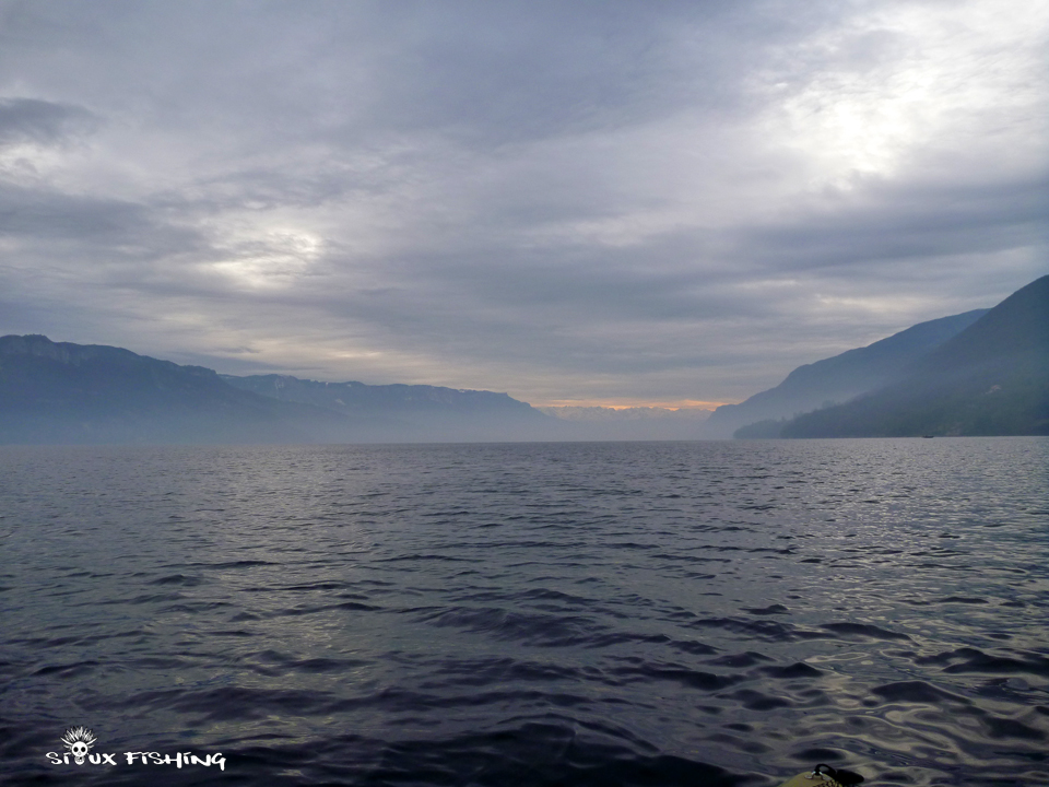 Lac du Bourget - pêche du corégone