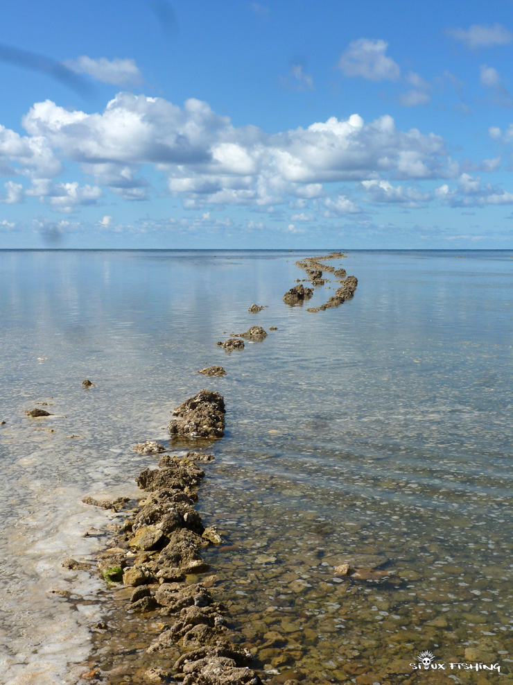 Paysage de l'Île d'Oléron
