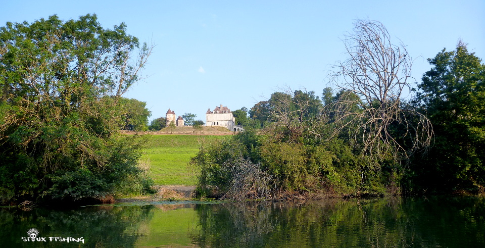 Paysage des bords de Seille 