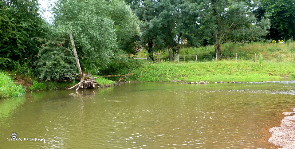  l'Arconce