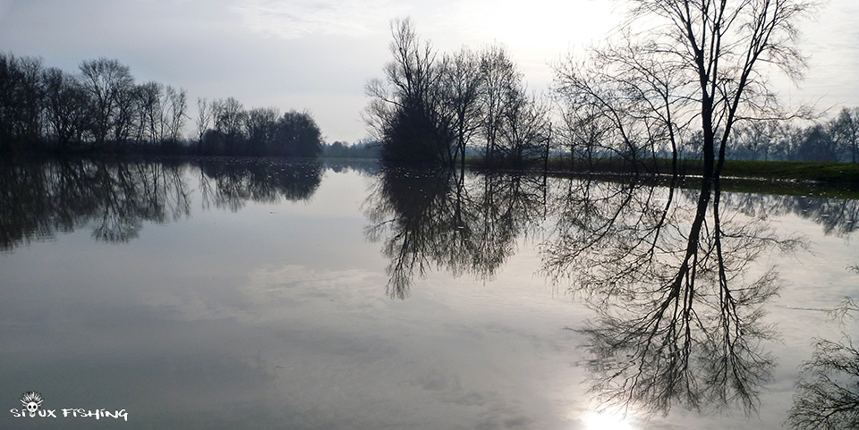 La Seille en hiver